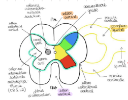 Capture d'écran 2023-12-01 210302.png