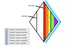 Capture d'écran 2023-11-27 230813.png