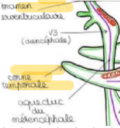Capture d'écran 2024-01-25 192203.png
