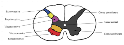 Capture d'écran 2023-11-26 194656.png