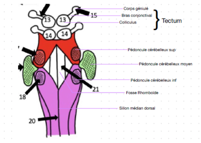 Capture d'écran 2023-11-27 230346.png