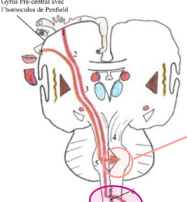 Capture d'écran 2024-01-29 005350.png