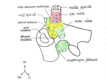 Capture d'écran 2023-11-26 220233.png