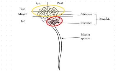 Capture d'écran 2023-11-26 192321.png