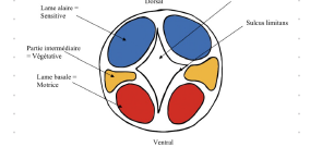 Capture d'écran 2023-11-26 193559.png