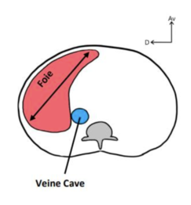 Capture d’écran 2024-01-29 à 20.16.15.png