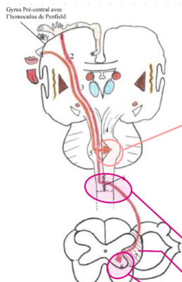 Capture d'écran 2024-01-30 102703.png