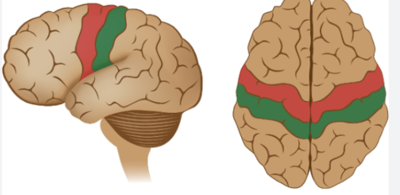 Capture d'écran 2024-02-01 024314.png