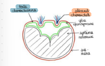 Capture d'écran 2023-11-27 091302.png