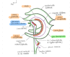 Capture d'écran 2023-11-27 090020.png