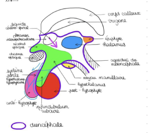 Capture d'écran 2023-11-27 225005.png