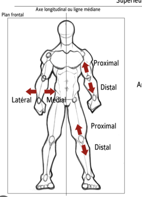 Capture d’écran 2024-02-03 à 12.29.46.png