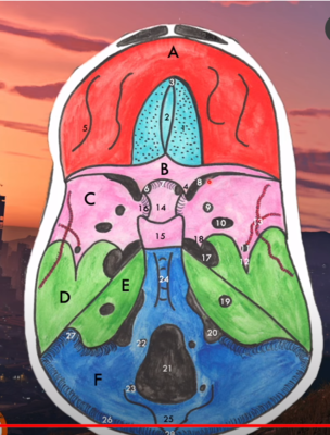 Capture d'écran 2024-01-20 121313.png