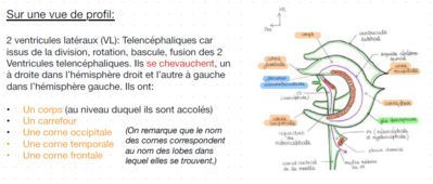 Capture d'écran 2024-02-04 014830.png
