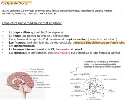 Capture d'écran 2024-02-04 021026.png