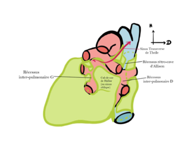 Capture d'écran 2024-02-04 113017.png