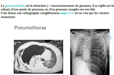 Capture d'écran 2024-02-04 185433.png