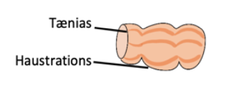 Capture d’écran 2024-02-05 à 13.14.48.png