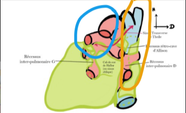 Capture d'écran 2024-02-05 132729.png