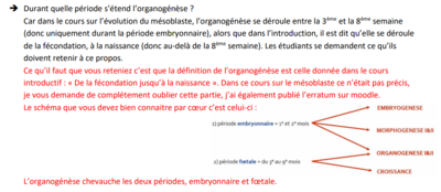 Capture d'écran 2024-02-05 162110.png