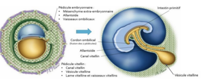 Capture d'écran 2024-02-06 120727.png