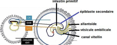 Capture d'écran 2024-02-06 120749.png