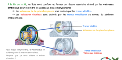 Capture d’écran 2024-02-07 à 13.06.32.png