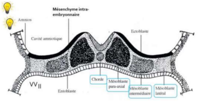 Capture d'écran 2024-02-07 211747.png