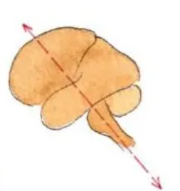 Capture d'écran 2024-02-08 100412.png