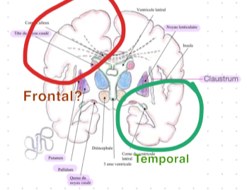 Capture d'écran 2024-02-08 102433.png