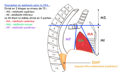 Capture d'écran 2024-01-21 142528.png