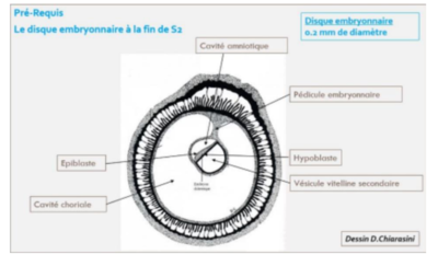 Capture d'écran 2024-02-14 170317.png