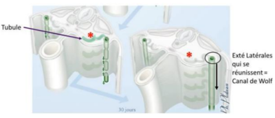 Capture d'écran 2024-02-16 185633.png