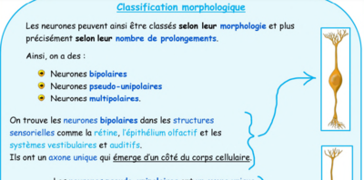Capture d'écran 2024-02-16 202648.png