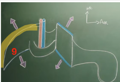 Capture d'écran 2024-02-18 081303.png