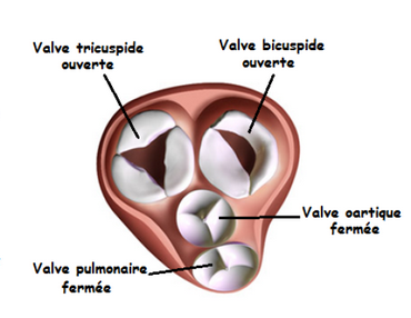 Capture d'écran 2024-02-18 103611.png