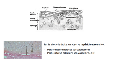 Capture d'écran 2024-02-19 220711.png