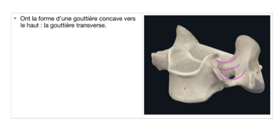 Screenshot 2024-02-20 16.06.35.png