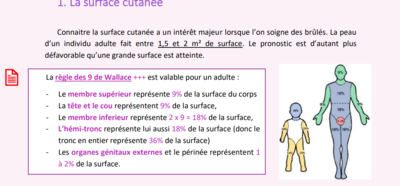 Capture d'écran 2024-02-21 130504.png