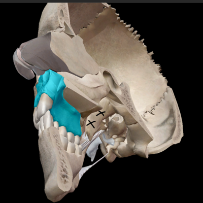 Capture d'écran 2024-02-25 144119.png