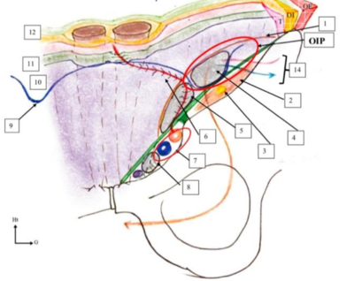 Capture d’écran 2024-02-13 à 12.16.28.png