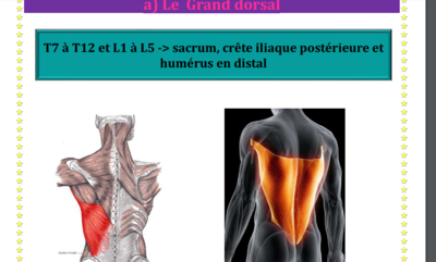 Capture d'écran 2024-02-29 202439.png