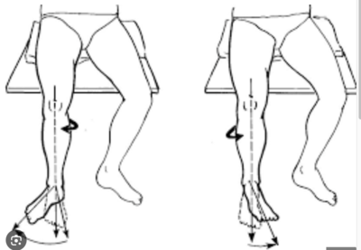 Capture d’écran 2024-03-03 à 22.01.00.png