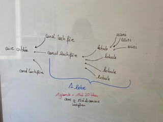 IMG_2780.jpg