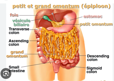 Capture d'écran 2024-03-08 080805.png