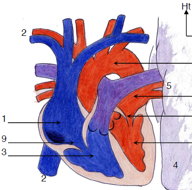 Capture d'écran 2024-03-08 212003.png