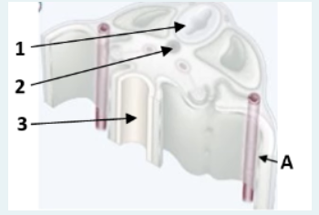 Capture d'écran 2024-03-09 133747.png