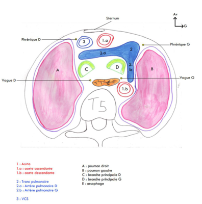 Capture d'écran 2024-02-01 015307.png
