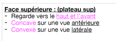 Capture d'écran 2024-03-10 100935.png
