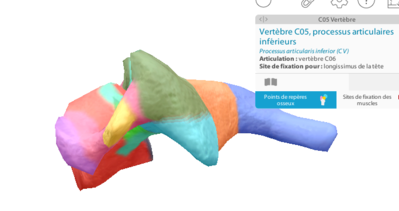 Capture d'écran 2024-03-10 101654.png
